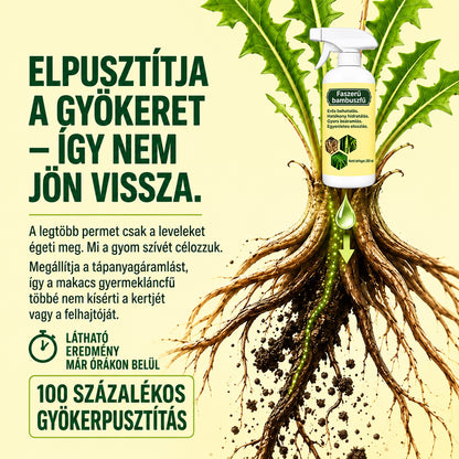 🔥2026-os AKCIÓ – Gyorsan ható, természetes gyom- és fűirtó spray